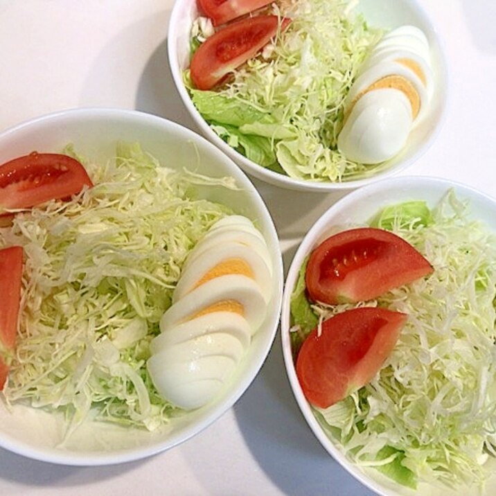 常備菜で☆キャベツとレタスと茹で卵とトマトのサラダ